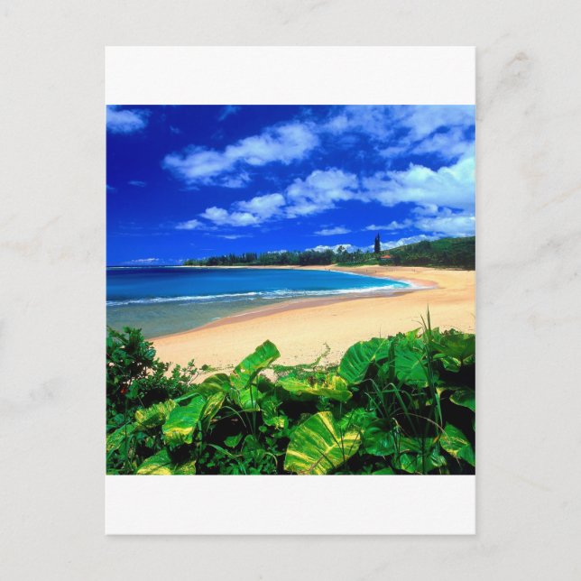 Carte Postale Plage Haena Kauai Hawaii (Devant)