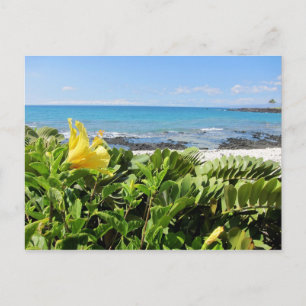 Carte Postale Plage hawaïenne