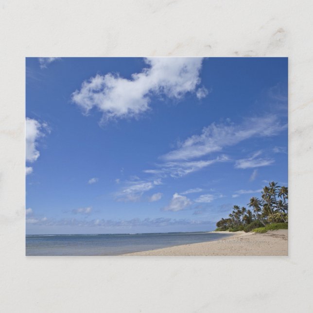 Carte Postale Plage hawaïenne avec palmiers. (Devant)
