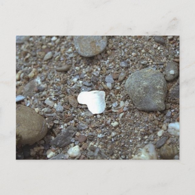 Carte Postale Plage Mariage Coeur de coquillages (Devant)