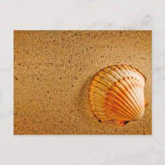 Carte Postale Plage Mariage Tropical RSVP Invitation