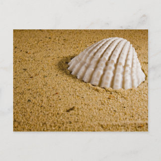 Carte Postale Plage Mariage Tropical RSVP Invitation