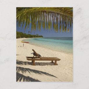 Carte Postale Plage, palmiers et transat