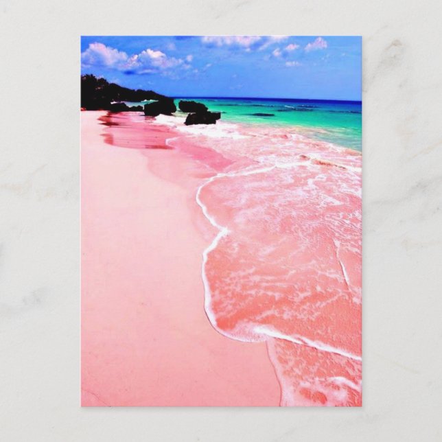 Carte Postale Plage rose des Bermudes (Devant)