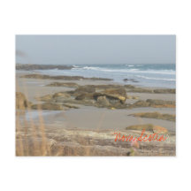 Plage Scène Nouvelle-Écosse Rissers Southshore