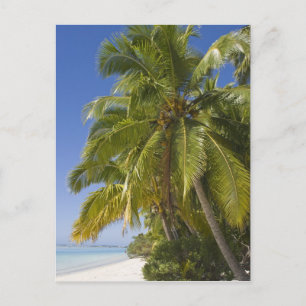 Carte Postale Plage sur l'île One Foot, Aitutaki, Îles Cook