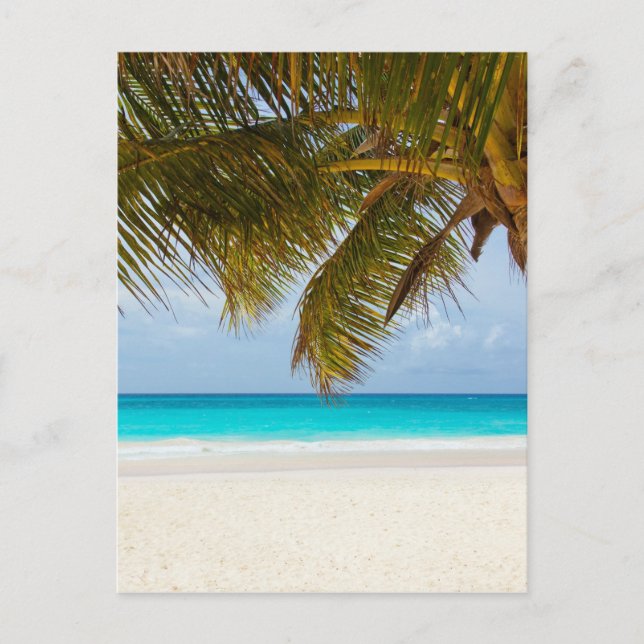 Carte Postale Plage tropicale (Devant)