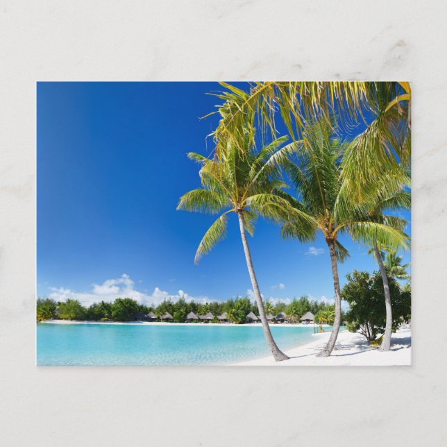 Carte Postale Plage tropicale (Devant)