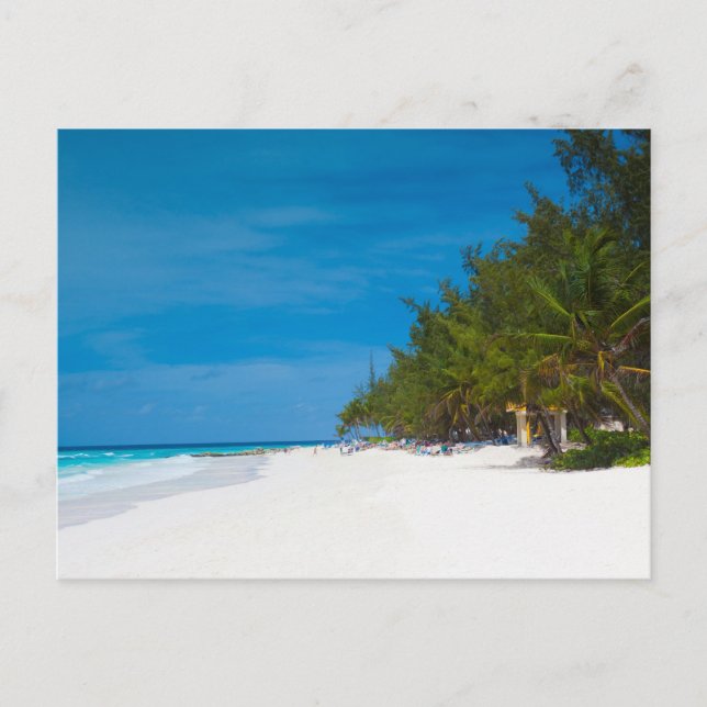 Carte Postale Plage tropicale à la Barbade (Devant)
