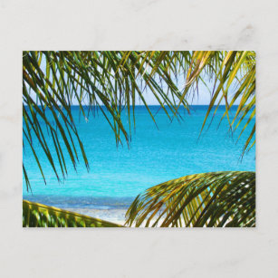 Carte Postale Plage tropicale encadrée de palmiers