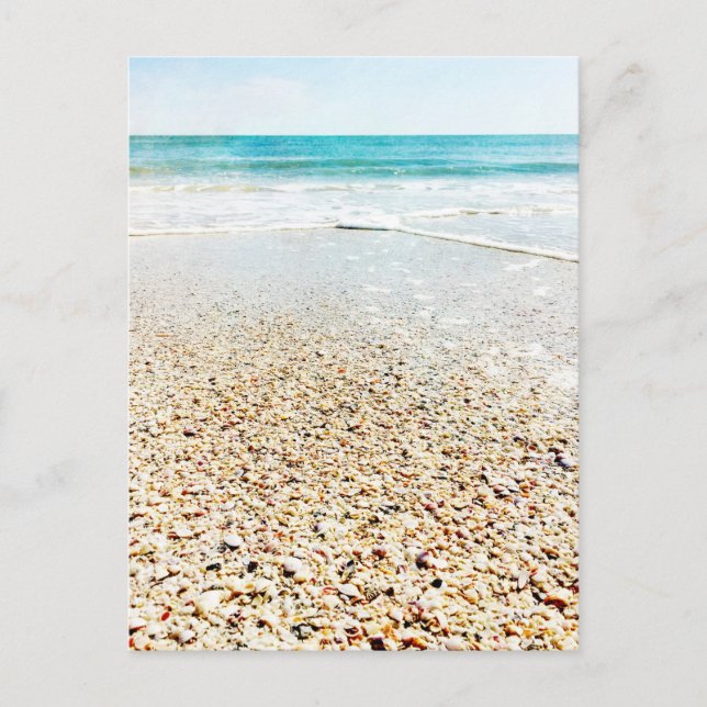 Carte Postale Plage tropicale Sable Ocean Waves Sea Shells Flori (Devant)