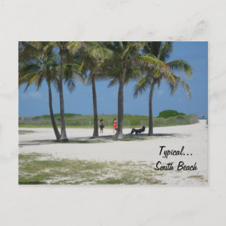 Carte Postale Plage typique...South Beach