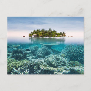 Carte Postale Plages tropicales   Ari Atoll Maldives