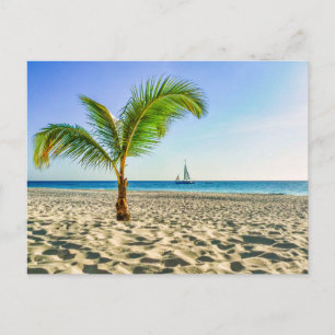 Carte Postale Plages tropicales Bateau, Palmier, Aruba