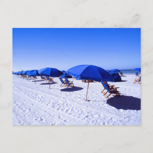 Carte Postale Plages tropicales   Clearwater, Floride