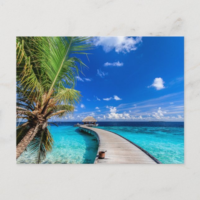 Carte Postale Plages tropicales | Dusit Thani Maldives (Devant)