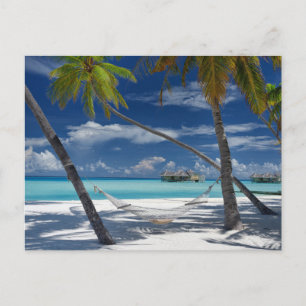 Carte Postale Plages tropicales   Sandy Beach, Maldives