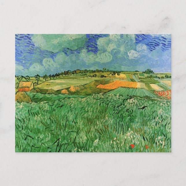 Carte Postale Plaine près d'Auvers par Vincent van Gogh (Devant)
