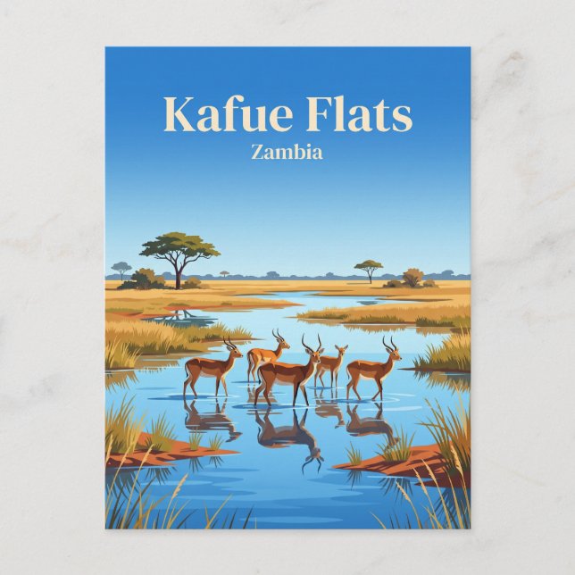 Carte Postale Plaines de Kafue, Parc national de Blue Lagoon, Za (Devant)
