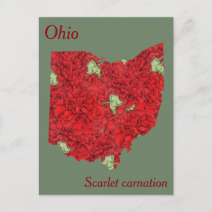 Carte Postale Plan de collage de la fleur de l'Ohio