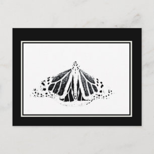 Carte Postale Plan Monarque