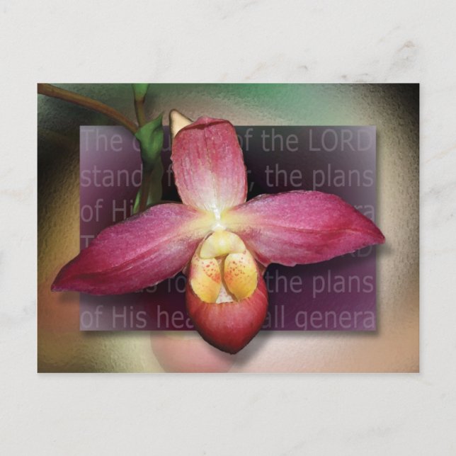 Carte Postale Plans de son coeur (Devant)