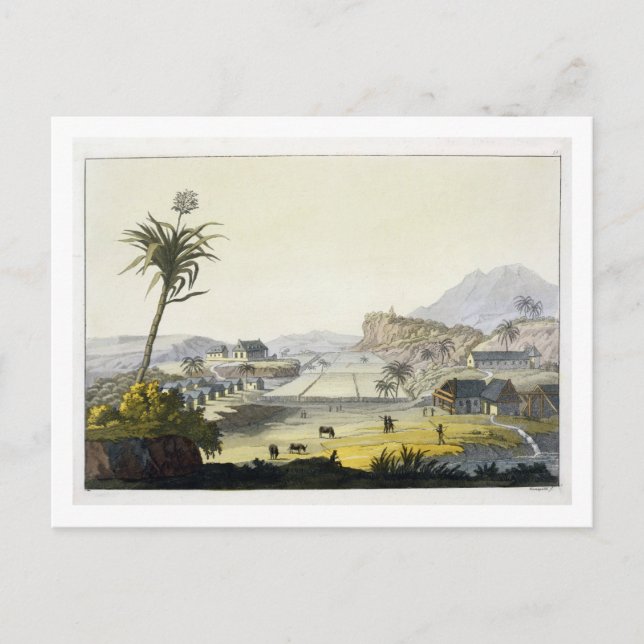 Carte Postale Plantation de sucre, Antilles (gravure couleur) (Devant)