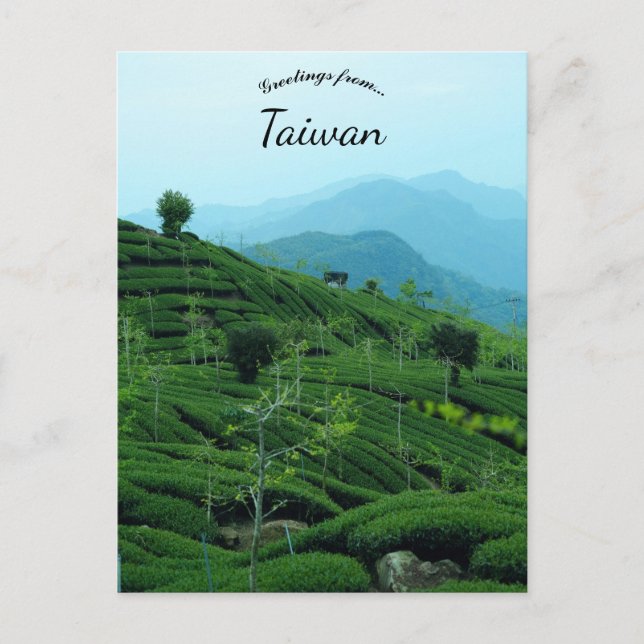 Carte Postale Plantation de thé à Taïwan (Devant)