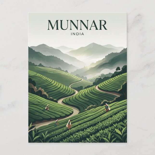 Carte Postale Plantation de thé de Munnar Inde (Devant)