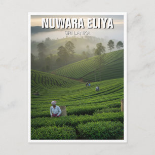 Carte Postale Plantation de thé de Nuwara Eliya Sri Lanka