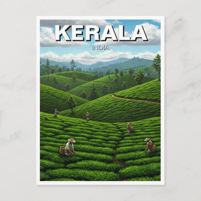 Carte Postale Plantation de thé Kerala India (Devant)