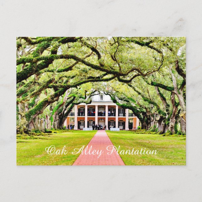 Carte Postale Plantation d'Oak Alley (Devant)