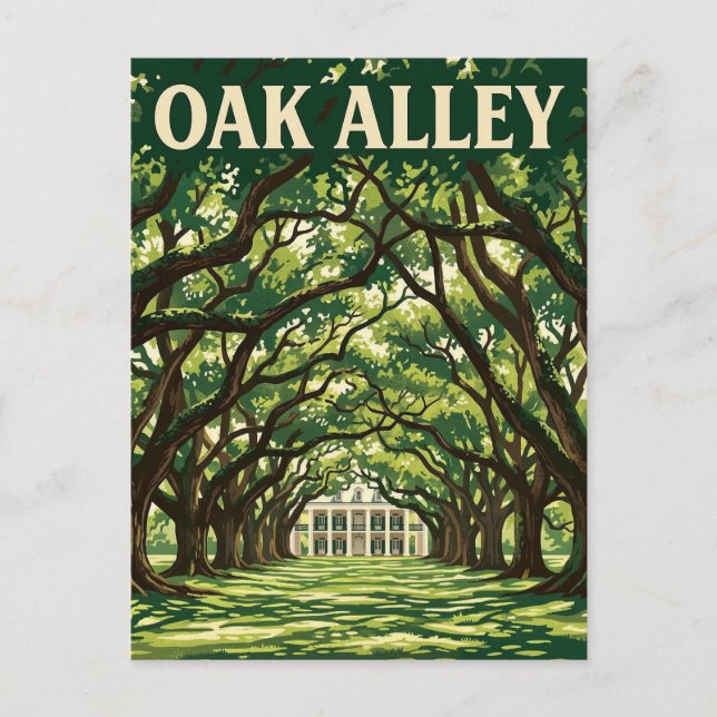 Carte Postale Plantation d'Oak Alley (Devant)