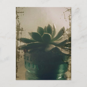 Carte Postale Plante