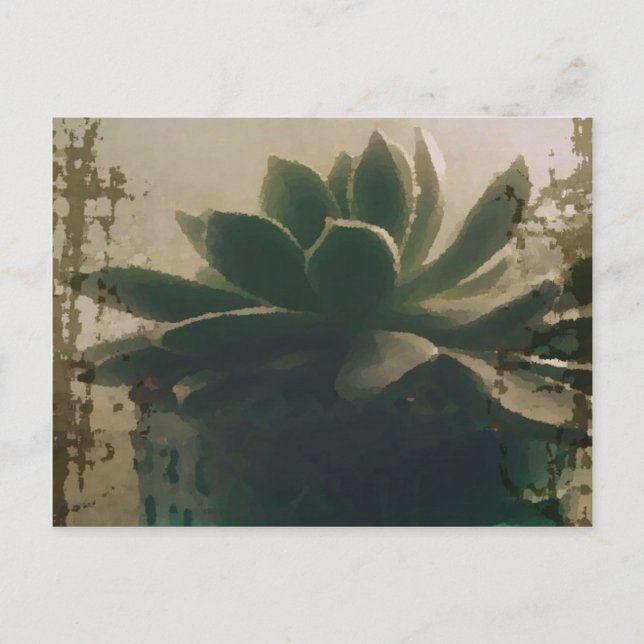 Carte Postale Plante (Devant)