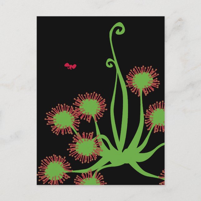 Carte Postale Plante Carnivore Sundew (Devant)