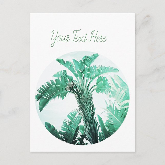 Carte Postale Plante de banane verte (Devant)
