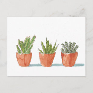 Carte Postale Plante de cactus Succulent à l'aquarelle