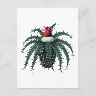 Carte Postale Plante de Fougère de Boston Chapeau de Père Noël L
