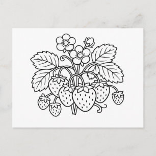 Carte Postale Plante de fraise Art botanique noir et blanc