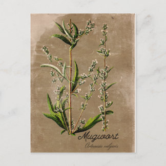 Carte postale Plante de l'herbe de mouton de style