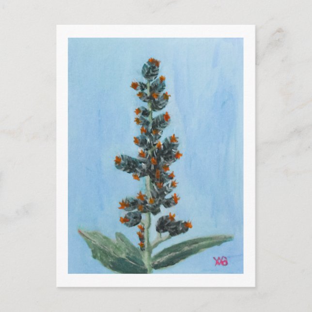 Carte Postale Plante de ricin (Devant)