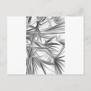 Carte Postale Plante d'impression noir blanc Zwart Wit