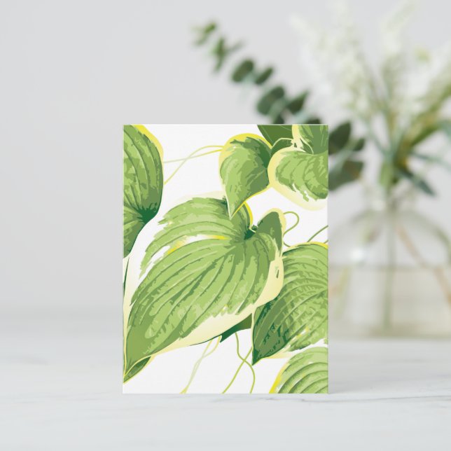 Carte Postale Plante Ficus 2 (Debout devant)