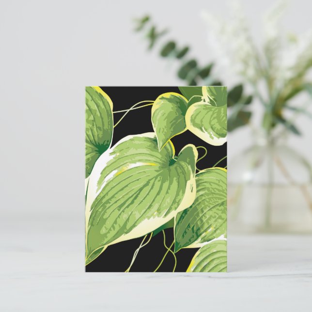 Carte Postale Plante Ficus 3 (Debout devant)