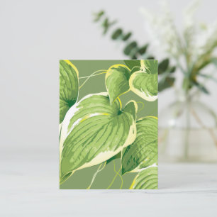 Carte Postale Plante Ficus 5
