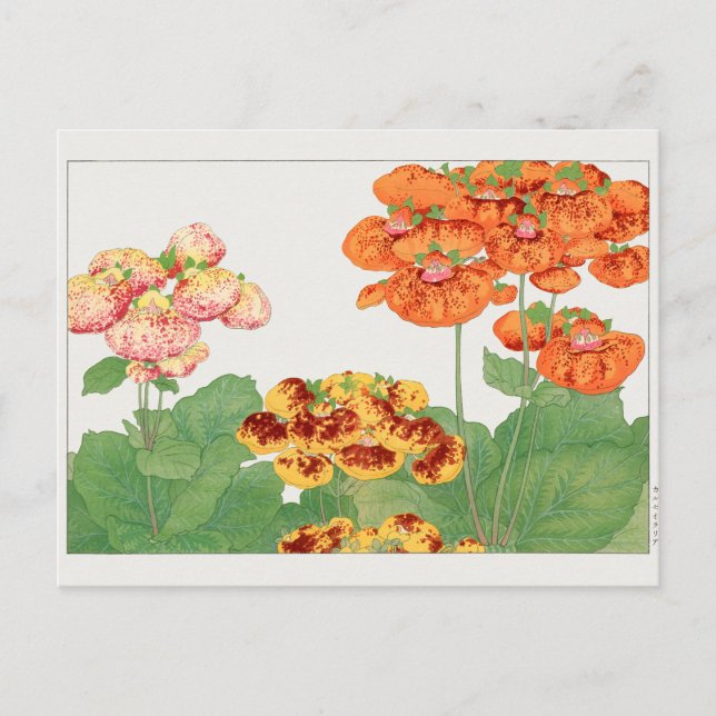 Carte Postale Plante Pocketbook par Tanigami Konan (Devant)