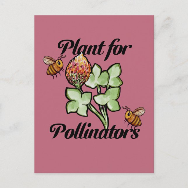 Carte Postale Plante pour abeille pollinisatrice                 (Devant)