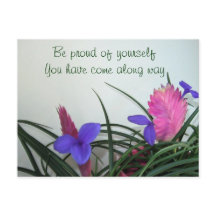 Carte postale Plante Rose Quill