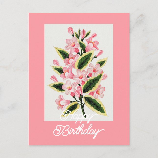 Carte Postale Plante Weigela Elegant Vintage Joyeux Anniversaire (Devant)